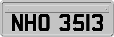 NHO3513