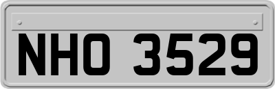 NHO3529