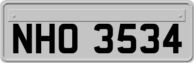 NHO3534