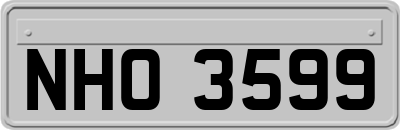 NHO3599