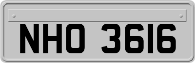 NHO3616