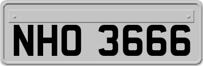 NHO3666
