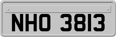 NHO3813