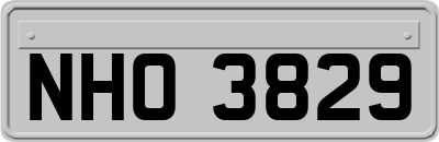 NHO3829