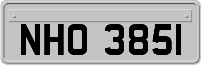 NHO3851
