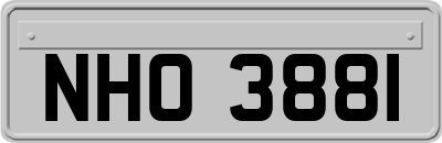 NHO3881
