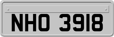 NHO3918