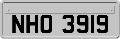 NHO3919