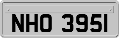 NHO3951