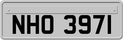 NHO3971