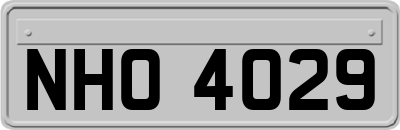 NHO4029