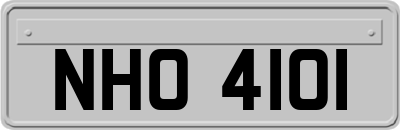NHO4101