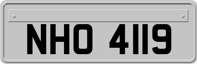 NHO4119