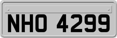 NHO4299