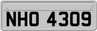 NHO4309