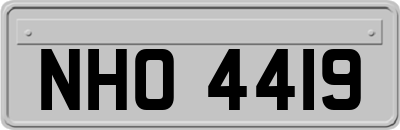 NHO4419