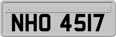 NHO4517
