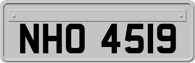 NHO4519