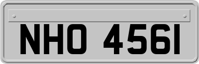 NHO4561
