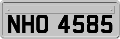 NHO4585