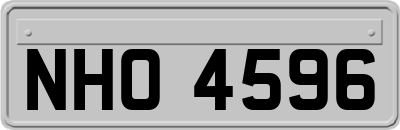 NHO4596