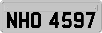 NHO4597