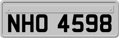 NHO4598