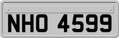 NHO4599