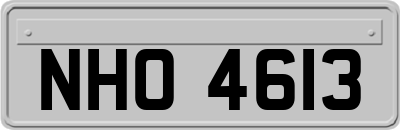 NHO4613