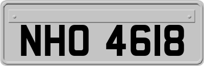 NHO4618