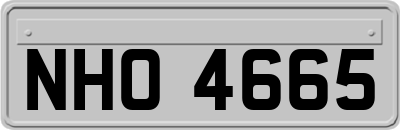 NHO4665