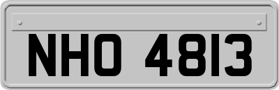 NHO4813