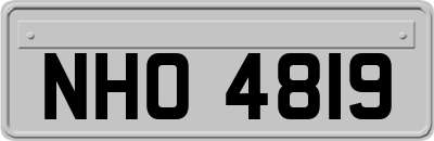 NHO4819