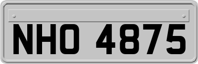 NHO4875
