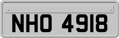 NHO4918