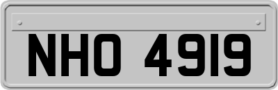 NHO4919