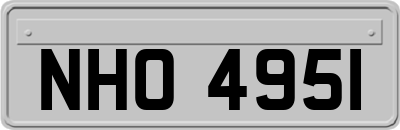 NHO4951