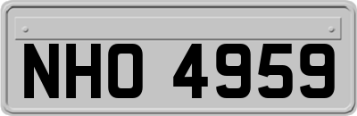 NHO4959
