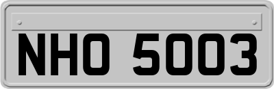 NHO5003