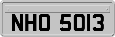 NHO5013