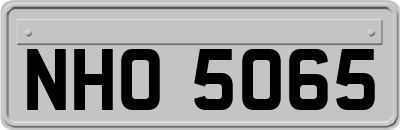 NHO5065