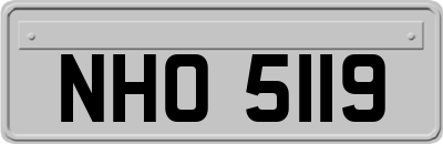 NHO5119