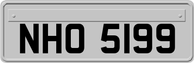 NHO5199