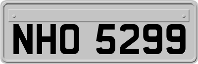 NHO5299