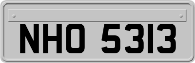 NHO5313