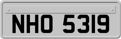 NHO5319