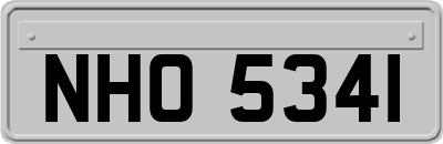 NHO5341