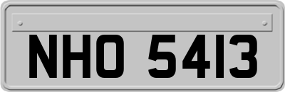 NHO5413