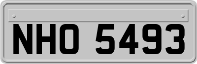 NHO5493