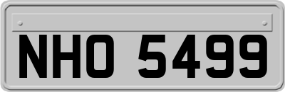 NHO5499